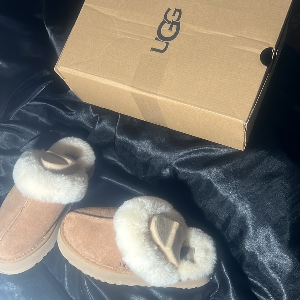 disquette ugg slippers